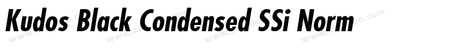 Kudos Black Condensed SSi Normal字体转换